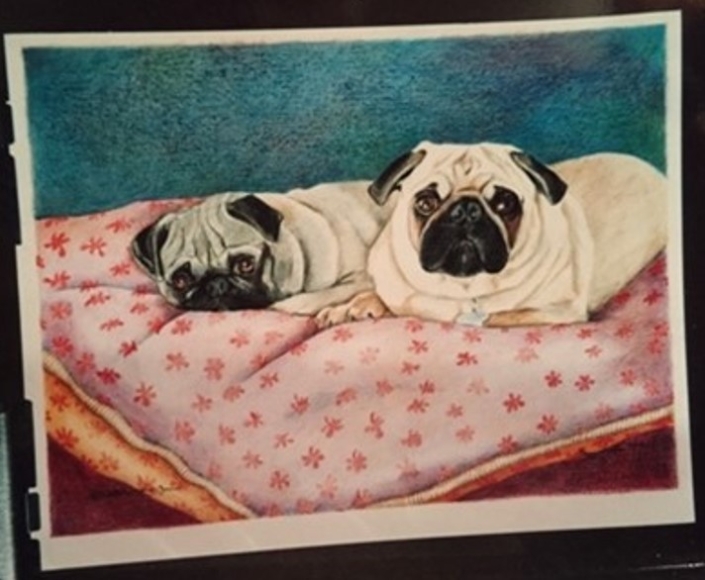 Pair of Pugs 1