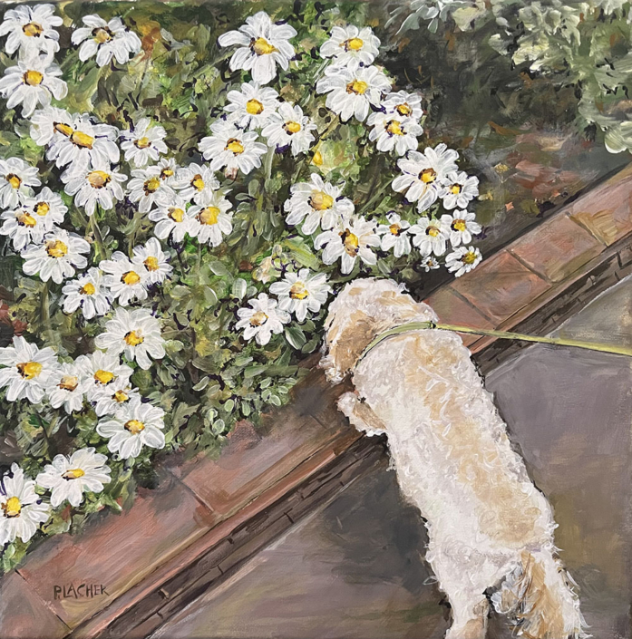 Smelling the Daisies